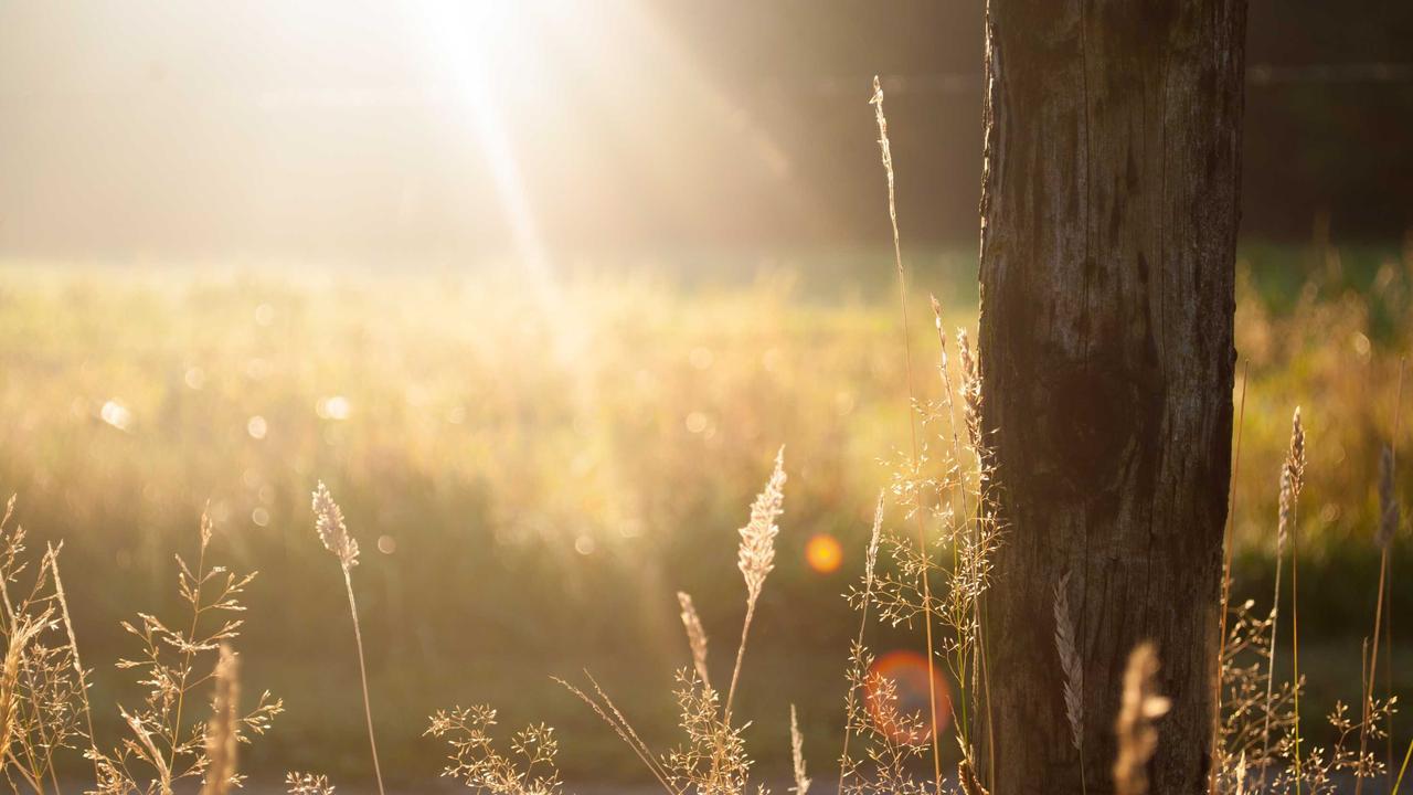 Satellite network mesh surrounding the Earth